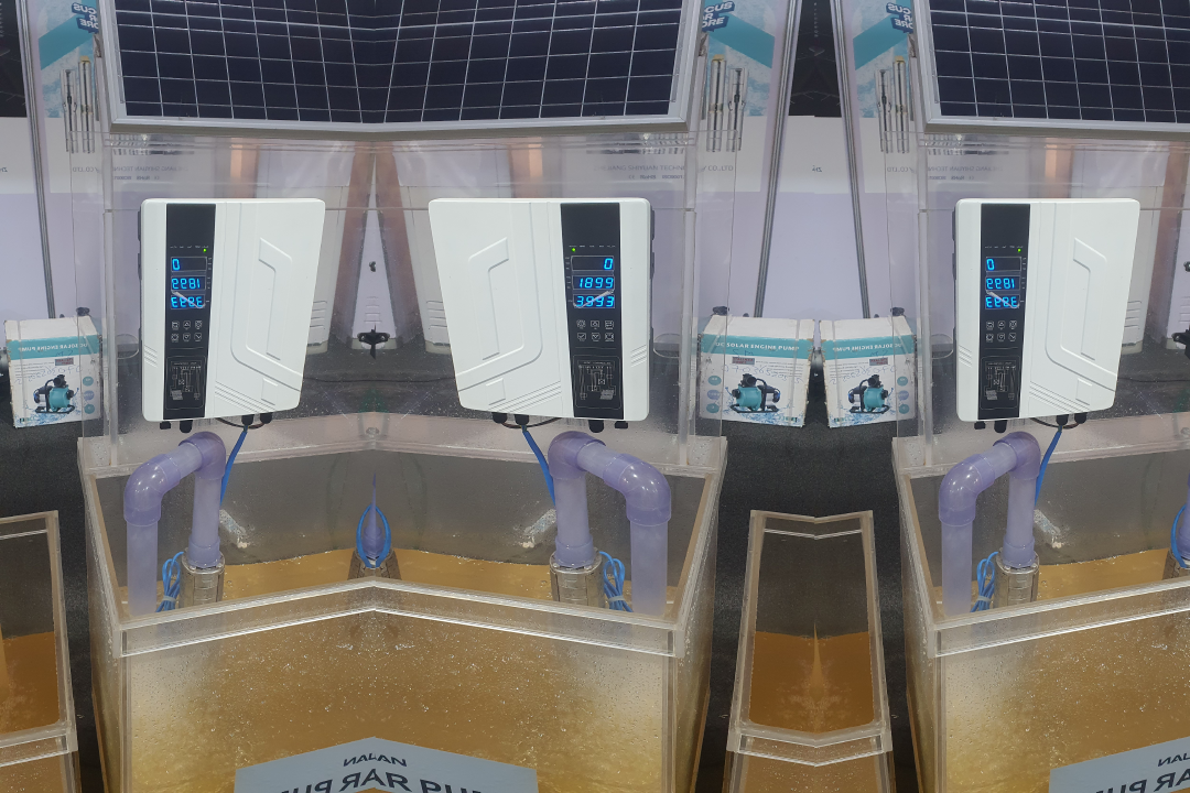 Home new project (1)